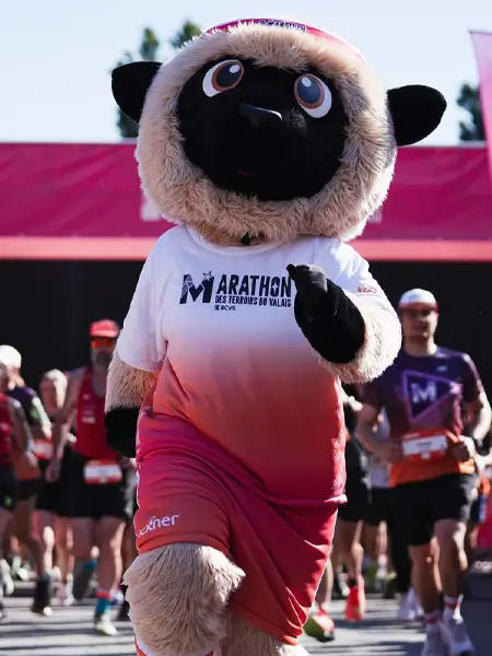 Bénichon Du Bois d'Amont - Mascotte Petzi
